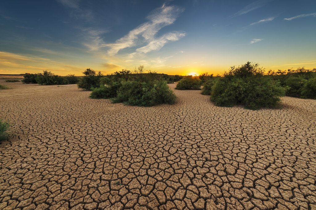 Portfolio Example (Opinion Essay): Conservation Isn’t&nbsp;Cute